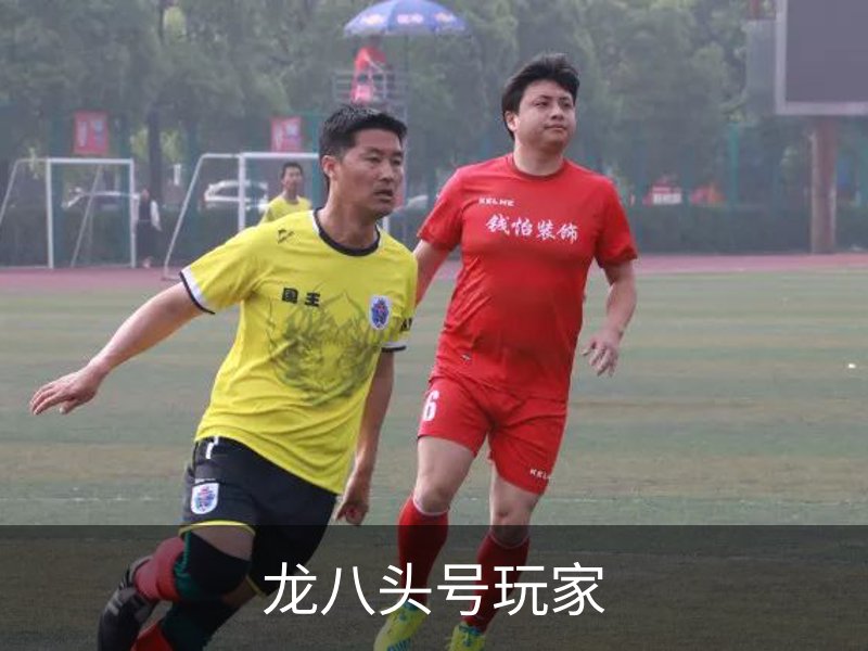 关于龙八头号玩家